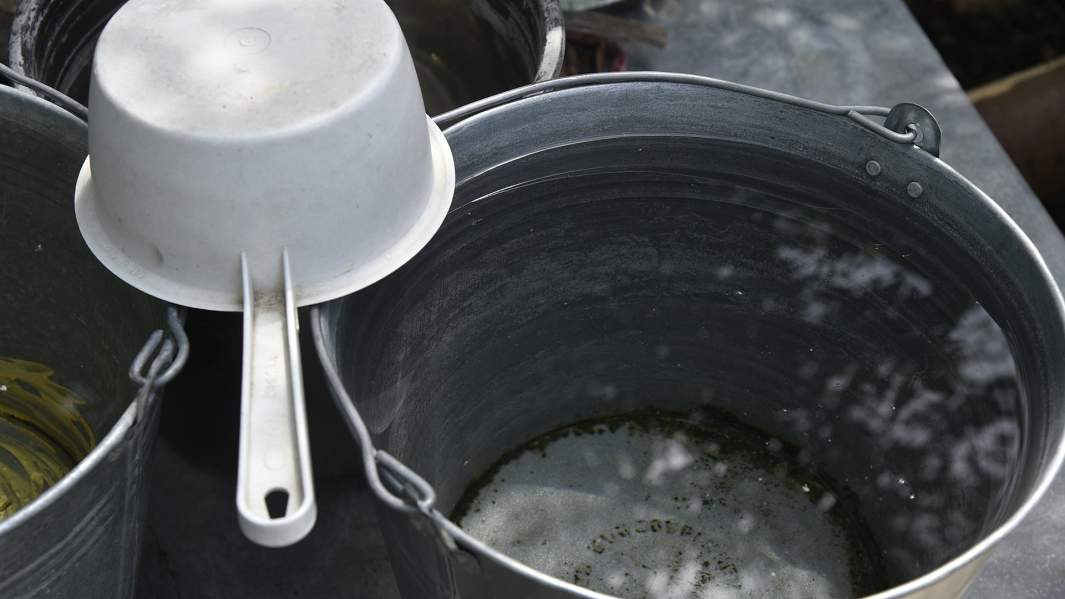 Ключевая беда: чистота родниковой воды оказалась мифом