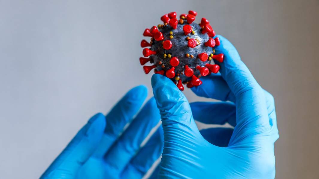 макет вируса