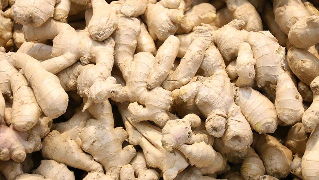 имбирь продажа