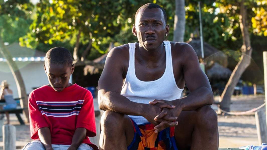 Кадр из фильма «Лунный свет»