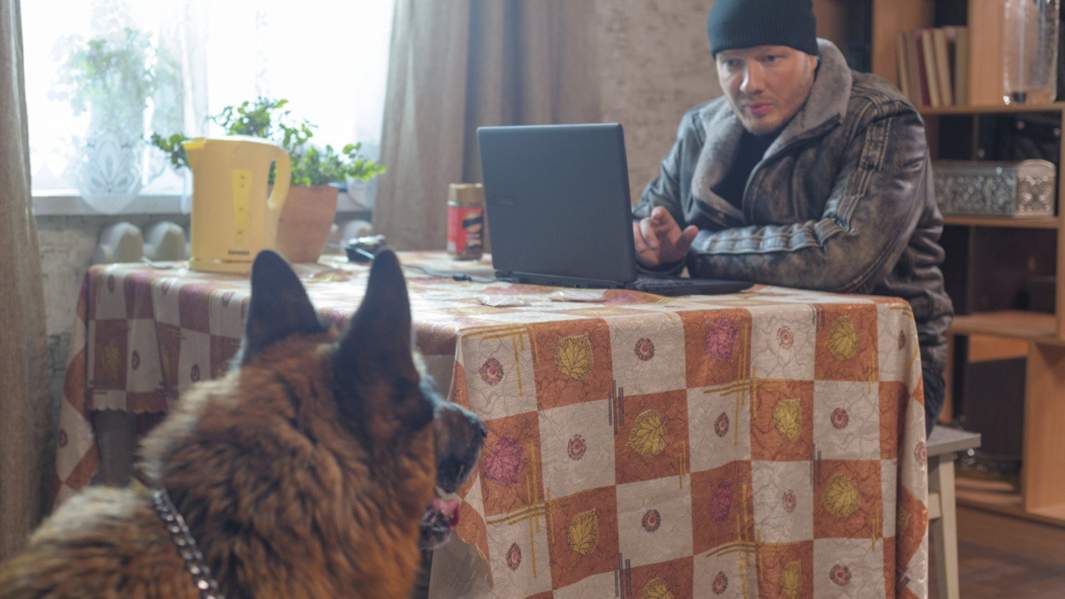 Кадр из сериала «Пёс»