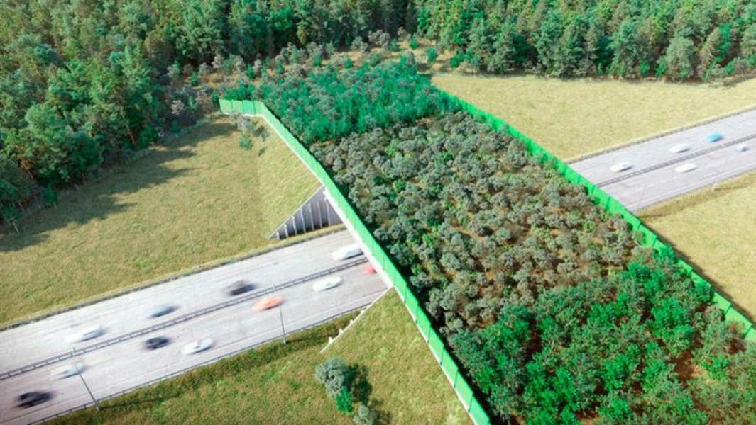 Экодук на трассе М3 «Украина»