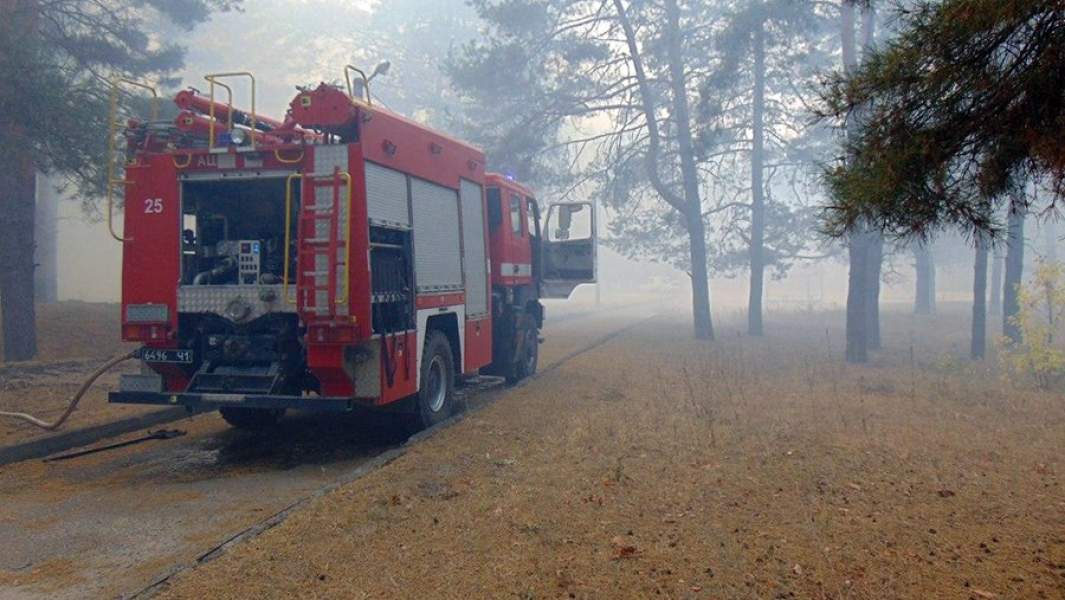 Ветер с огнем: почему Киев не справляется с пожарами в Донбассе