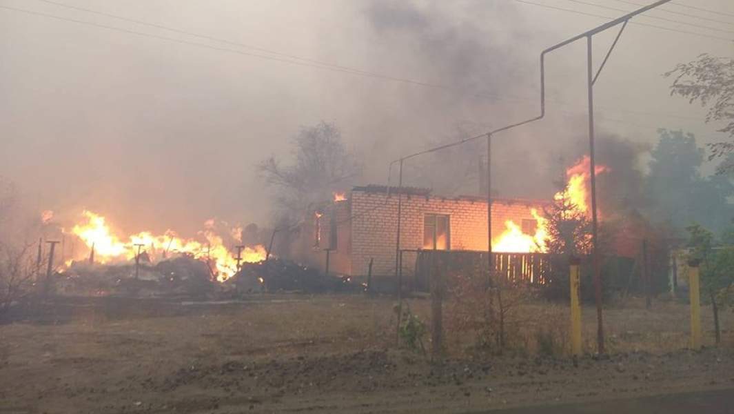 Ветер с огнем: почему Киев не справляется с пожарами в Донбассе