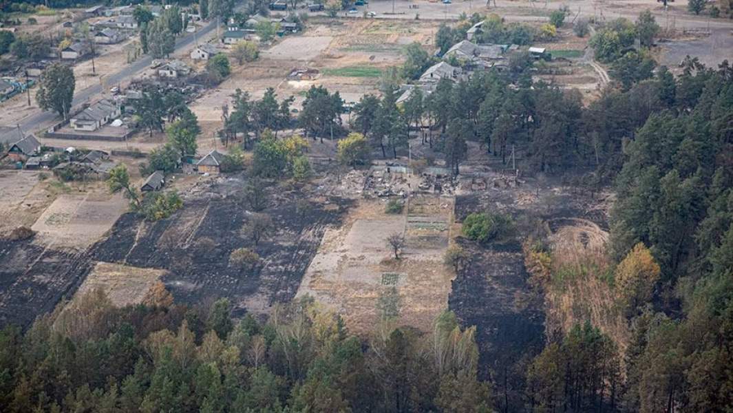Ветер с огнем: почему Киев не справляется с пожарами в Донбассе