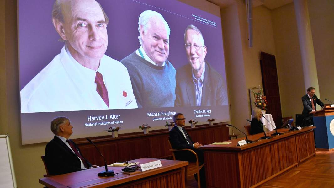  премии Харви Дж. Альтера, Майкла Хоутона и Чарльза Райса