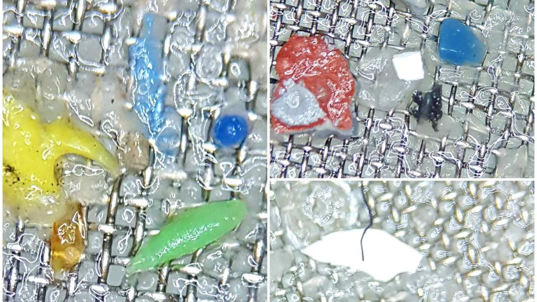 Микропластик в пробах