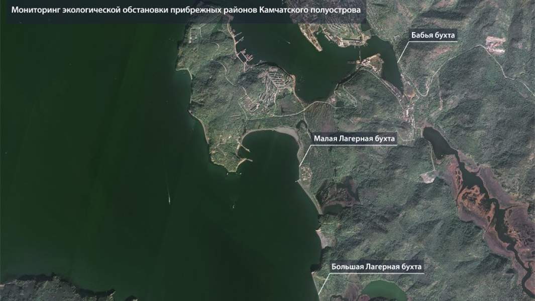 мониторинг