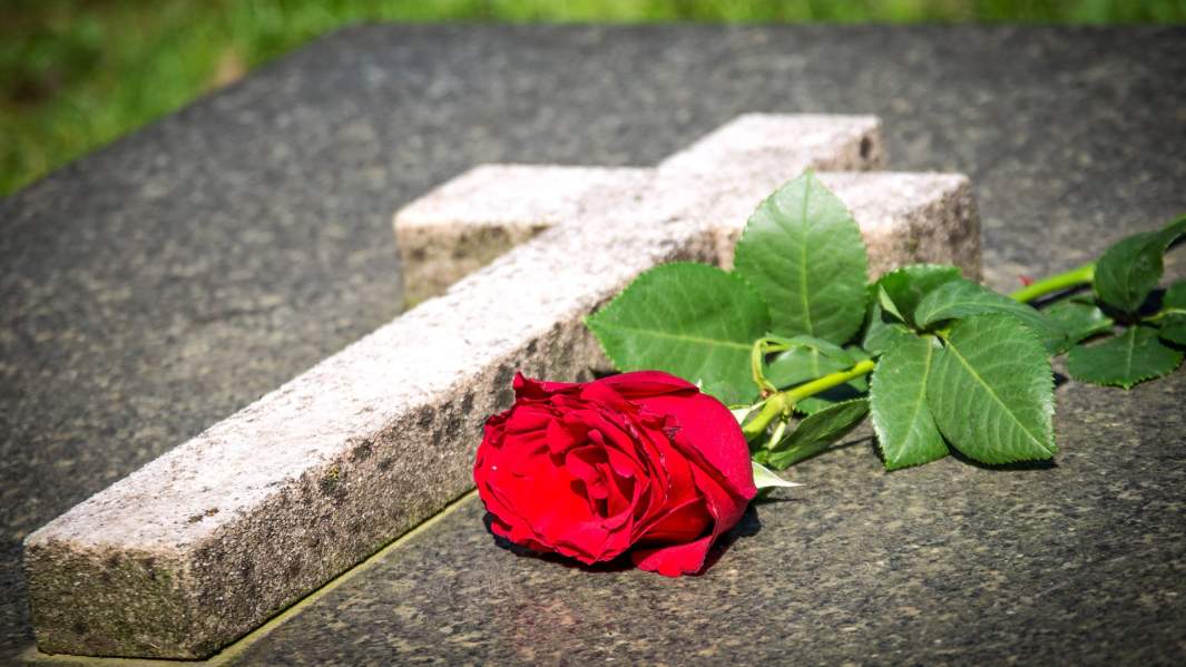 могила надгробие роза цветы