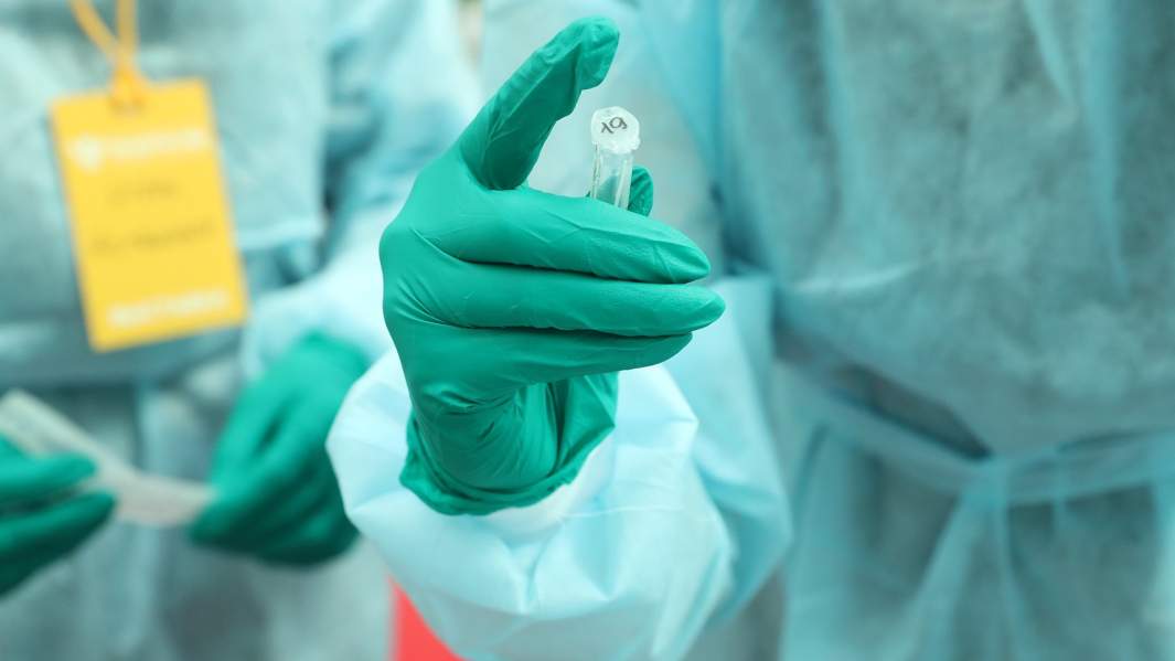 тест на коронавирус