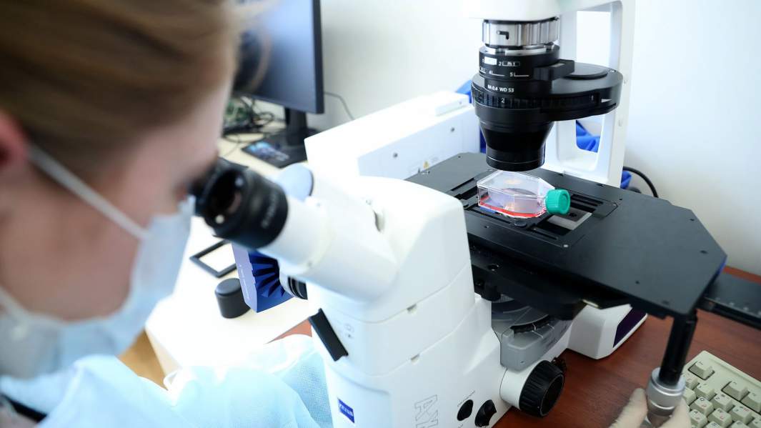 микроскоп врач 