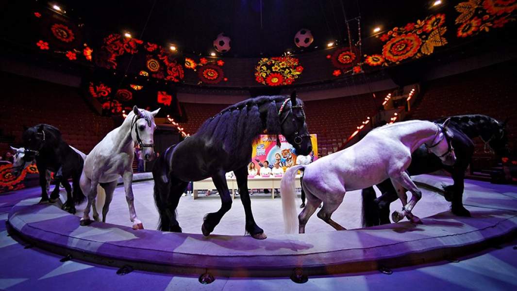 Большой Московский цирк 