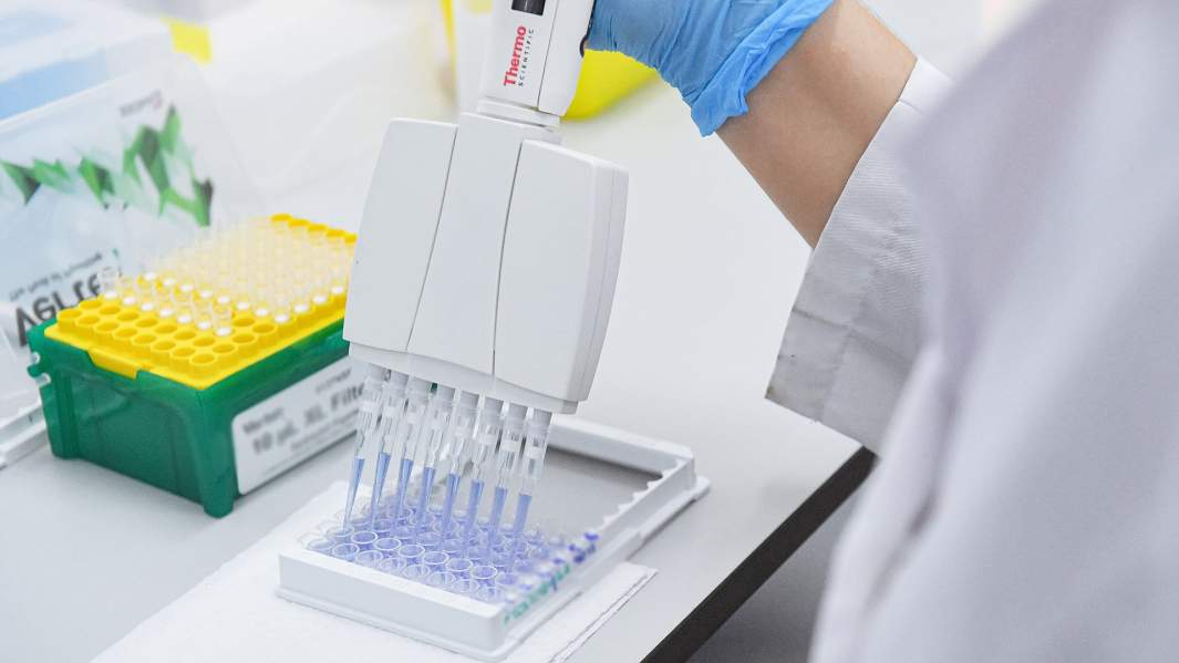Испытания и производство вакцины от COVID-19 в лаборатории