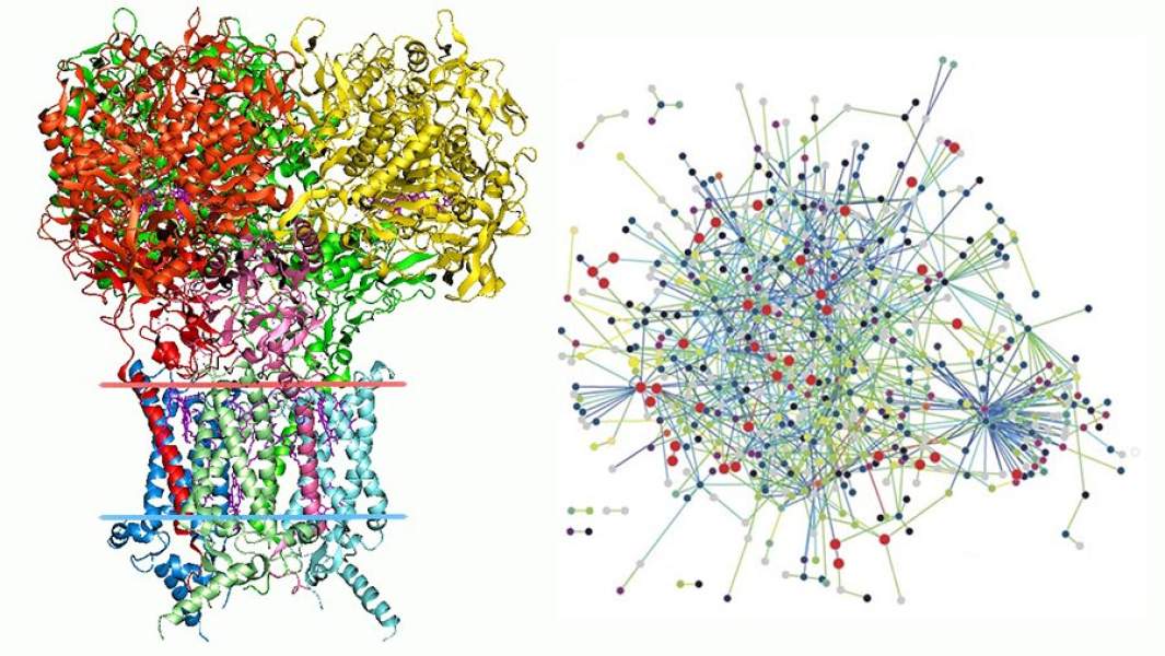 биоинформатика