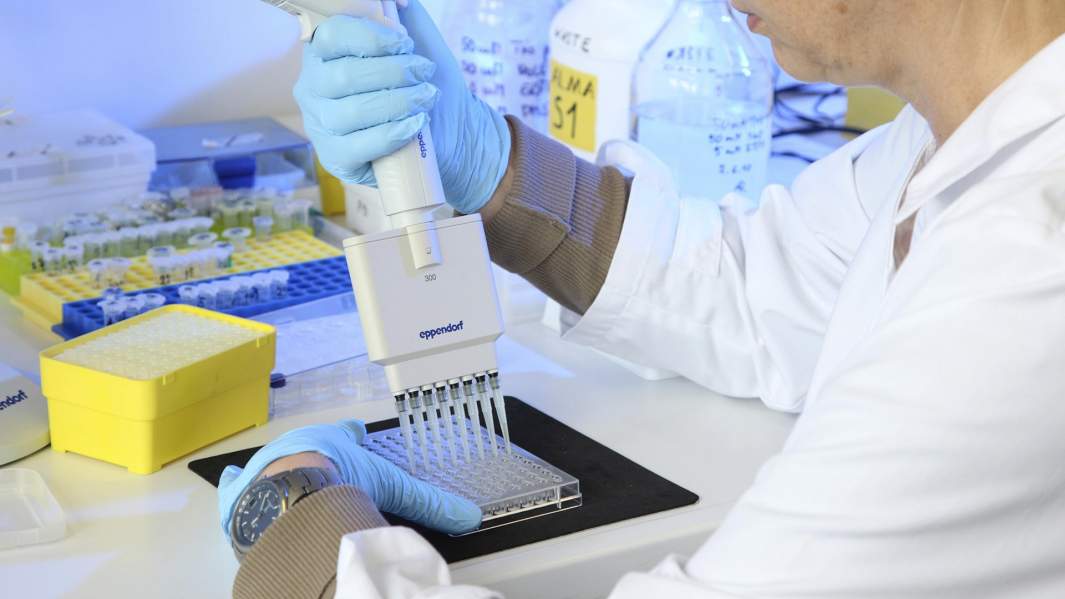 Мы исследуем реакцию на коронавирус блокадников и их детей