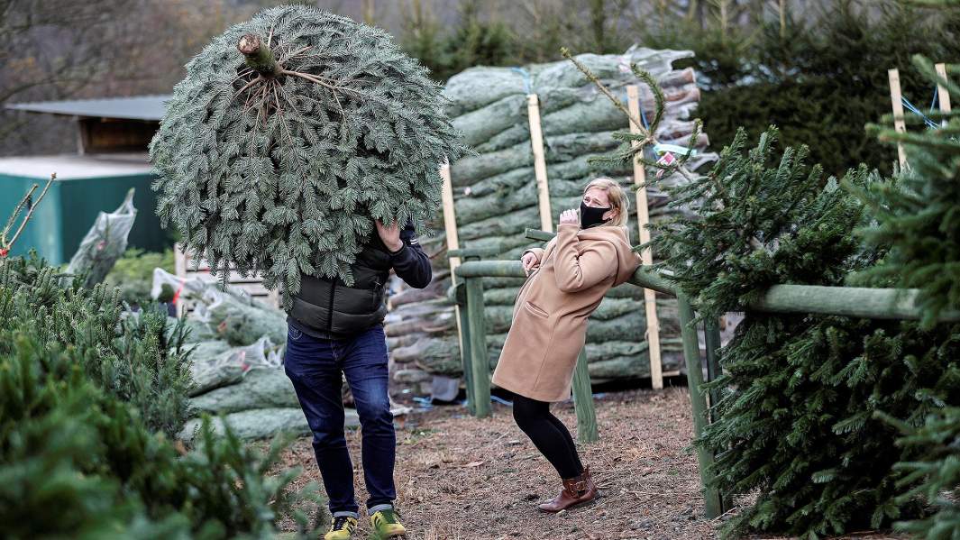 елочный базар