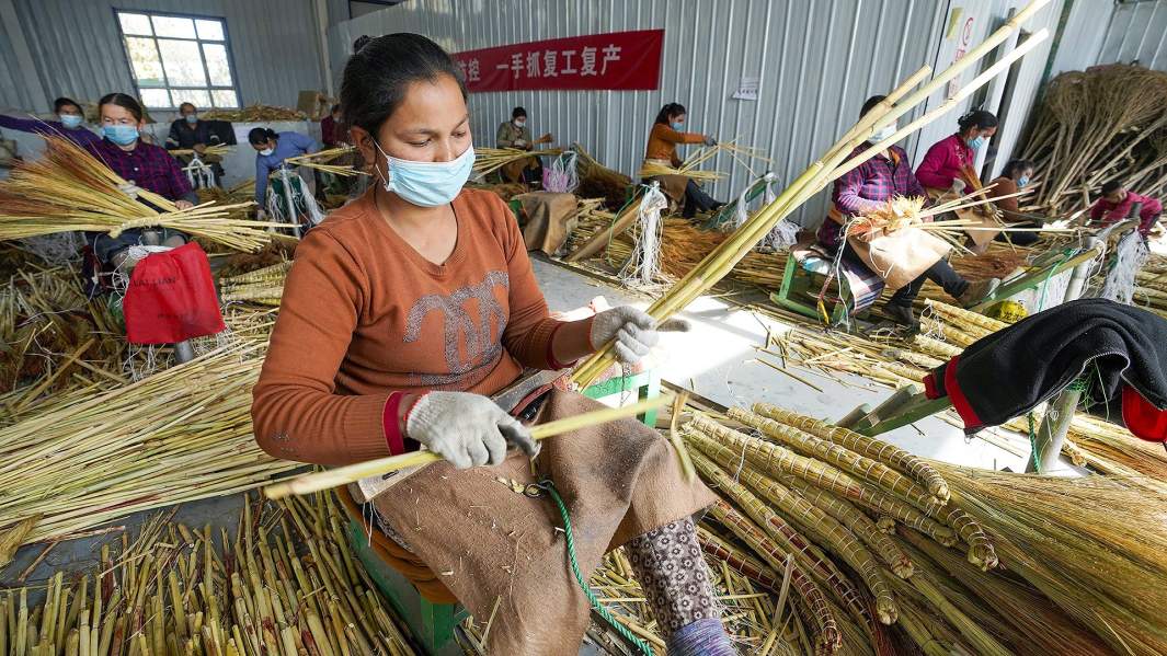 Местные жители делают метлы