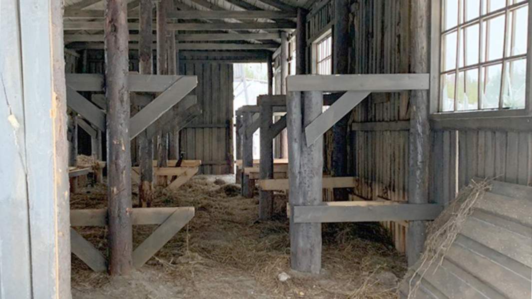 Концлагерь