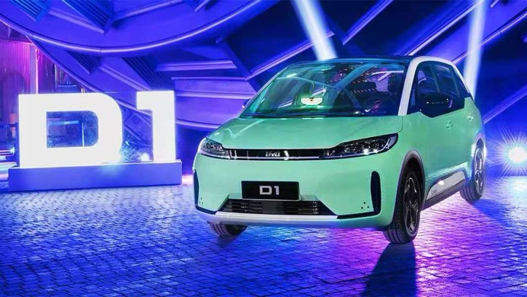 BYD D1