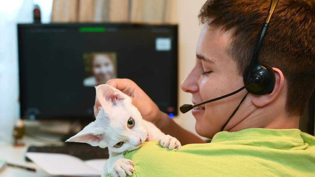 школьник удаленка