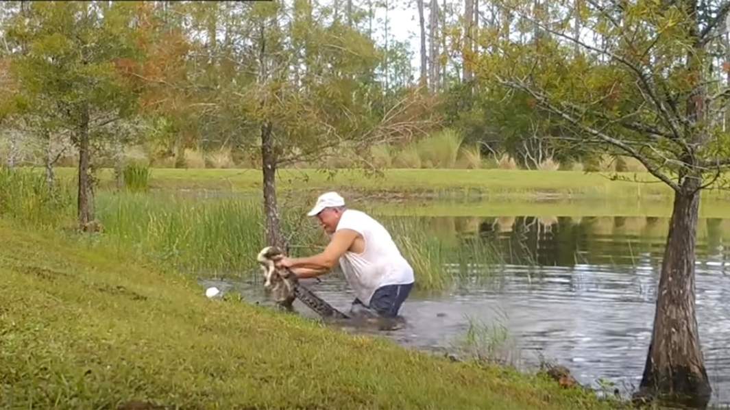 Ричарда Уилбенкс