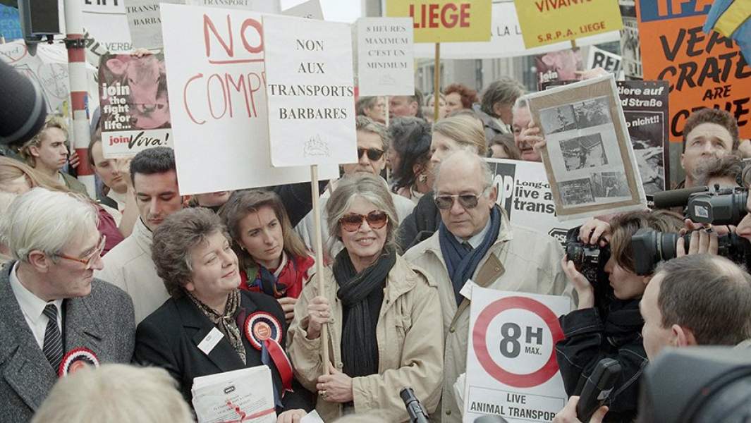 Актриса Брижит Бардо на акции в защиту животных в Брюсселе, 1995 год 