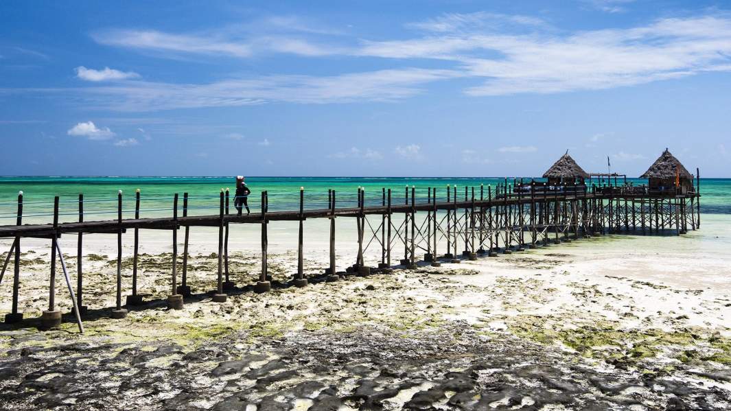 По эту сторону: 95% россиян откажутся от поездок за рубеж в Новый год