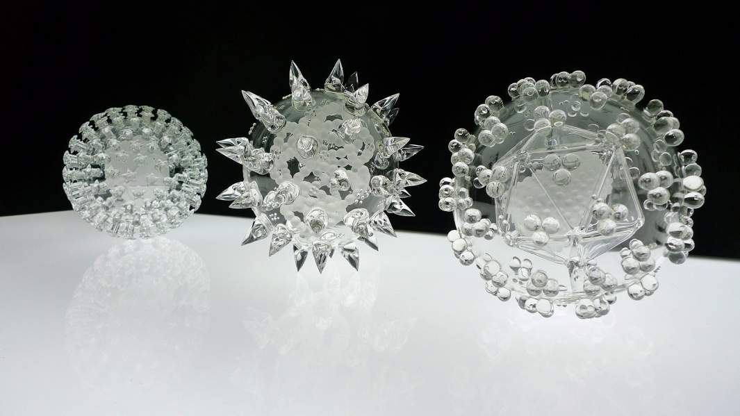 модель коронавируса