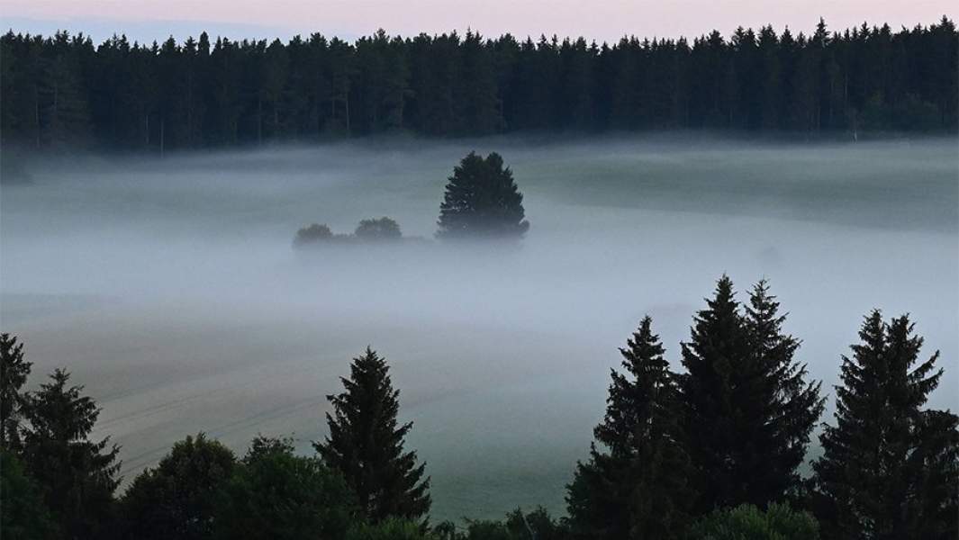 Шварцвальд