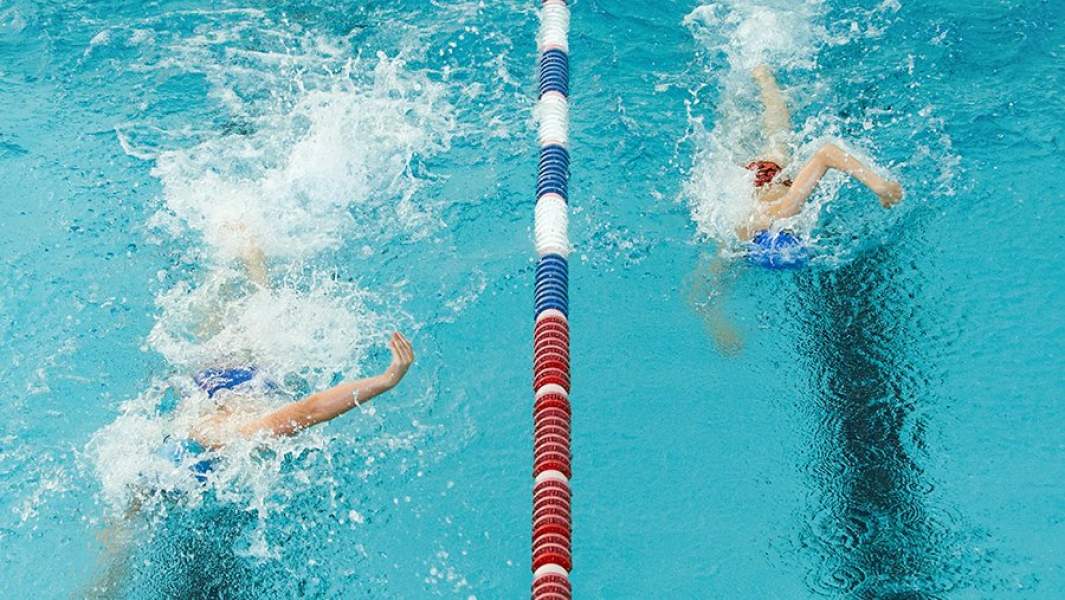 Пловцы в бассейне