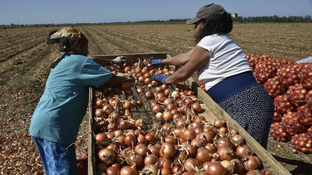 Тайный знак: россияне интересуются «чистыми» продуктами, но не разбираются в них