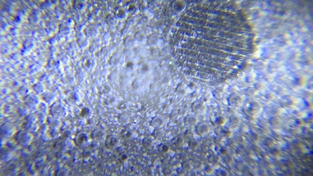 Противоугонные идентификаторы T-Mark и L-Mark 