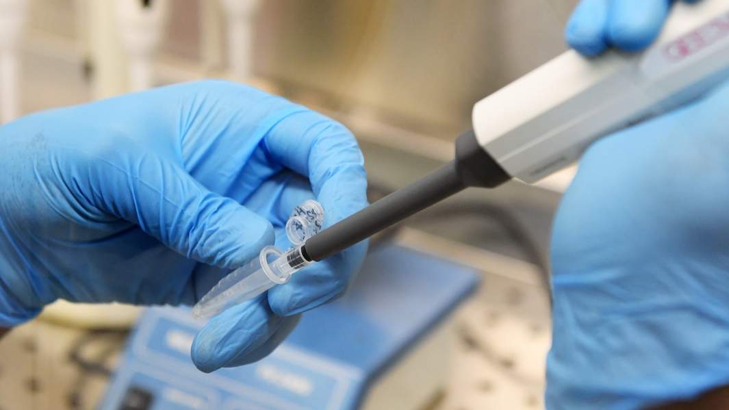 Вакцина для нефти: цена закрепилась на уровне $50 за баррель