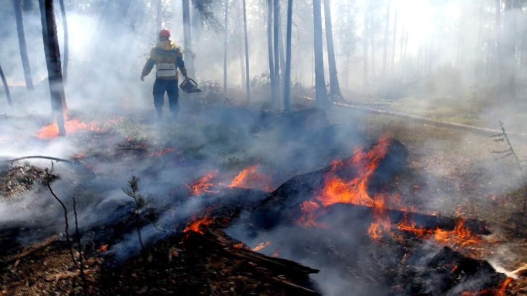 Сотрудник "Авиалесоохраны" во время тушения пожара, Республика Саха (Якутия), Россия