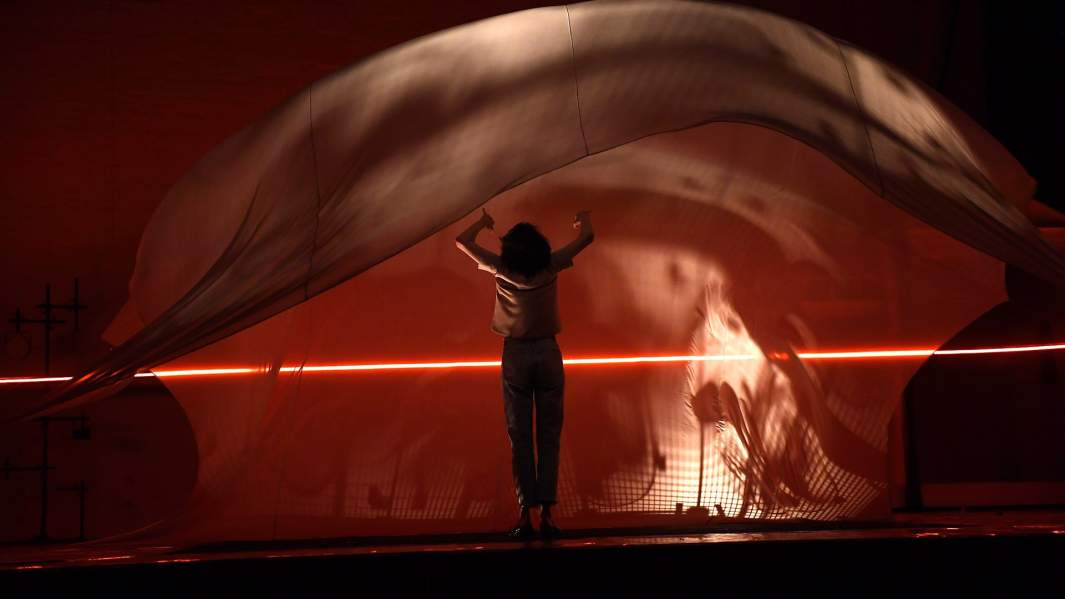 Растительная жизнь: тургеневское сено и апельсины Вознесенского