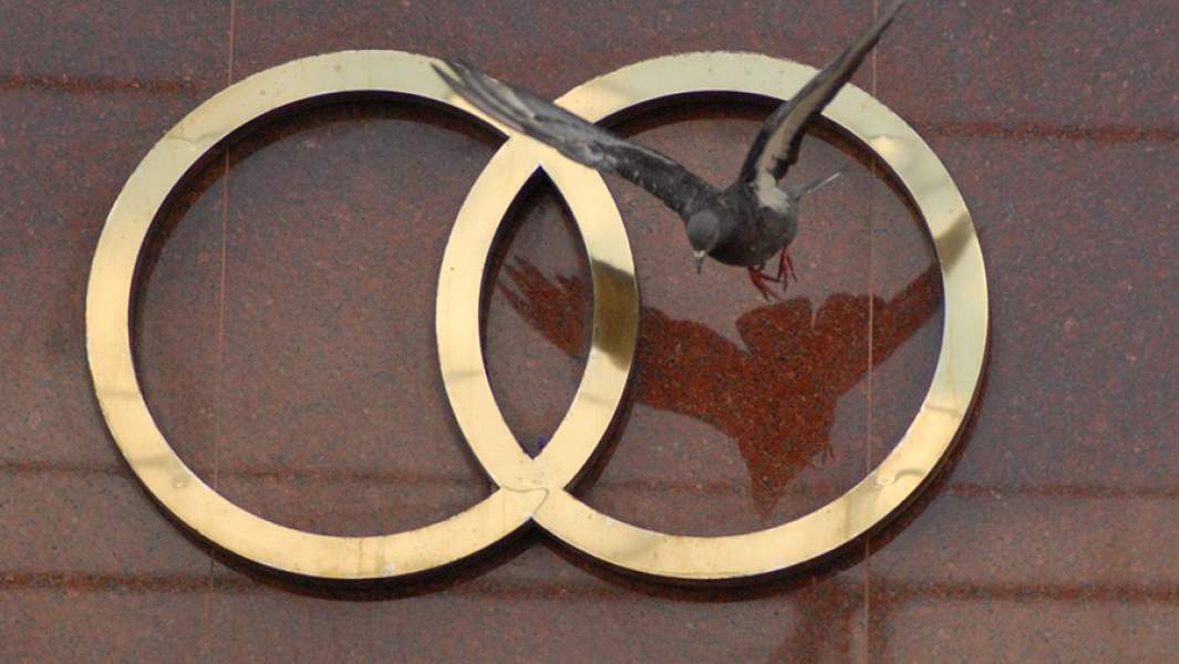 кольца загс брак