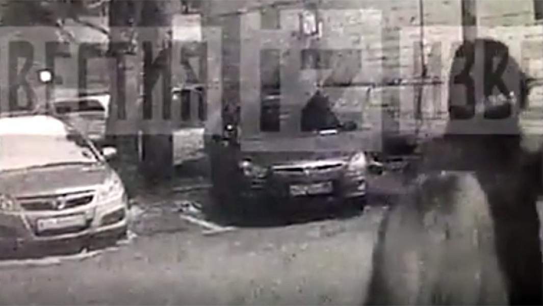 Нападение на Наталью Пронину