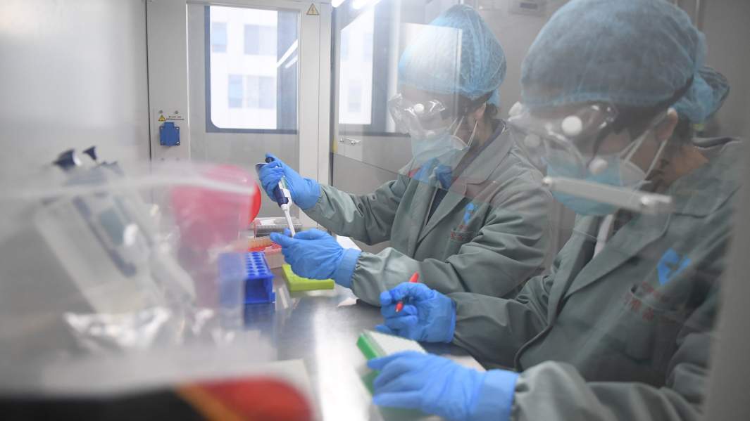 тест на коронавирус