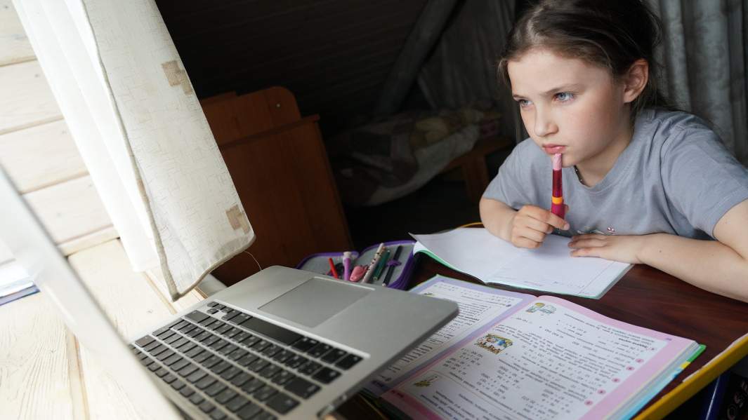 дистанционное обучение