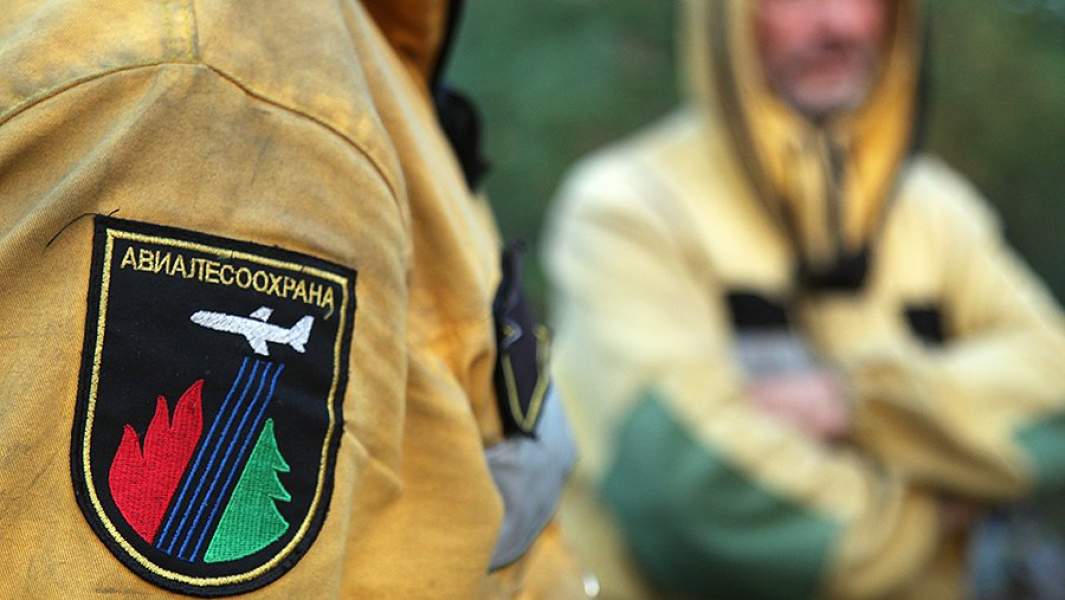 авиалесохрана