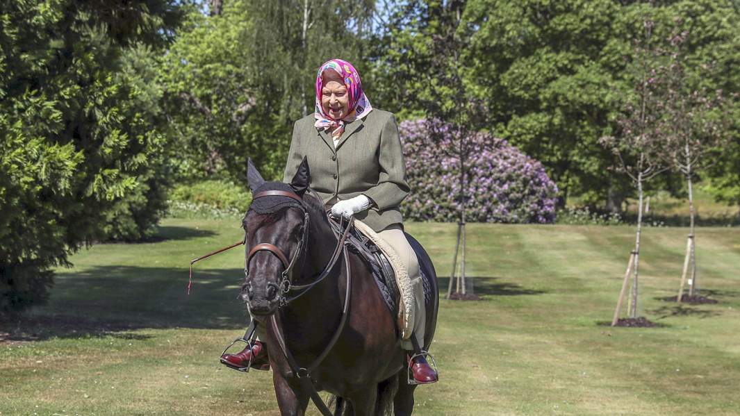 Королева Елизавета в домашнем парке Виндзор