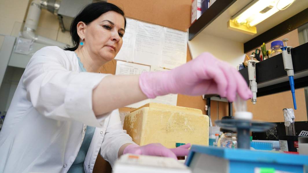 Идеальный вирус: эталонный образец SARS-CoV-2 позволит улучшить тесты