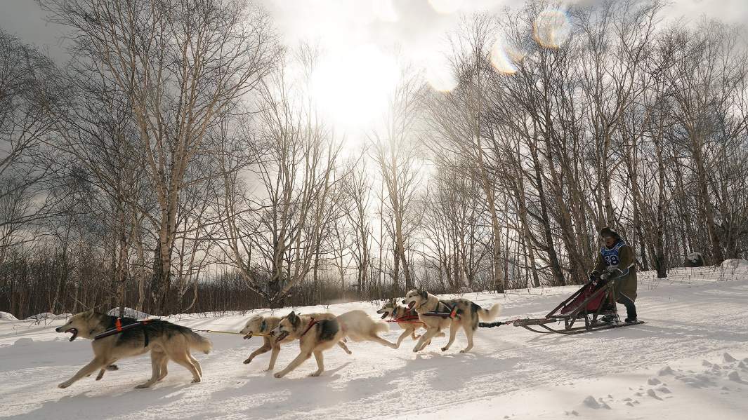 Гонка «Берингия-2021»