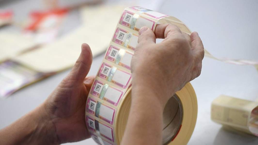 Игра на опережение: ЕЭК предложила реформу для рывка экономики ЕАЭС