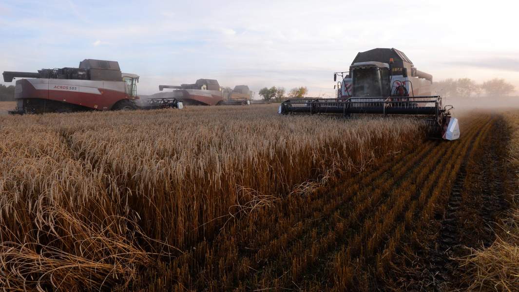 Уборка урожая пшеницы