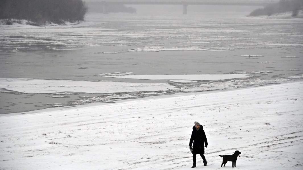Девушка гуляет с собакой на набережной реки Иртыш в Омске