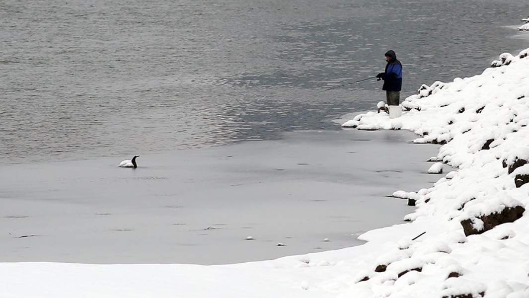 Рыбак на берегу реки Кубань
