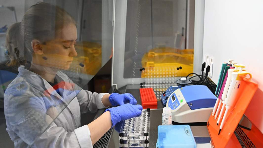 тест на коронавирус