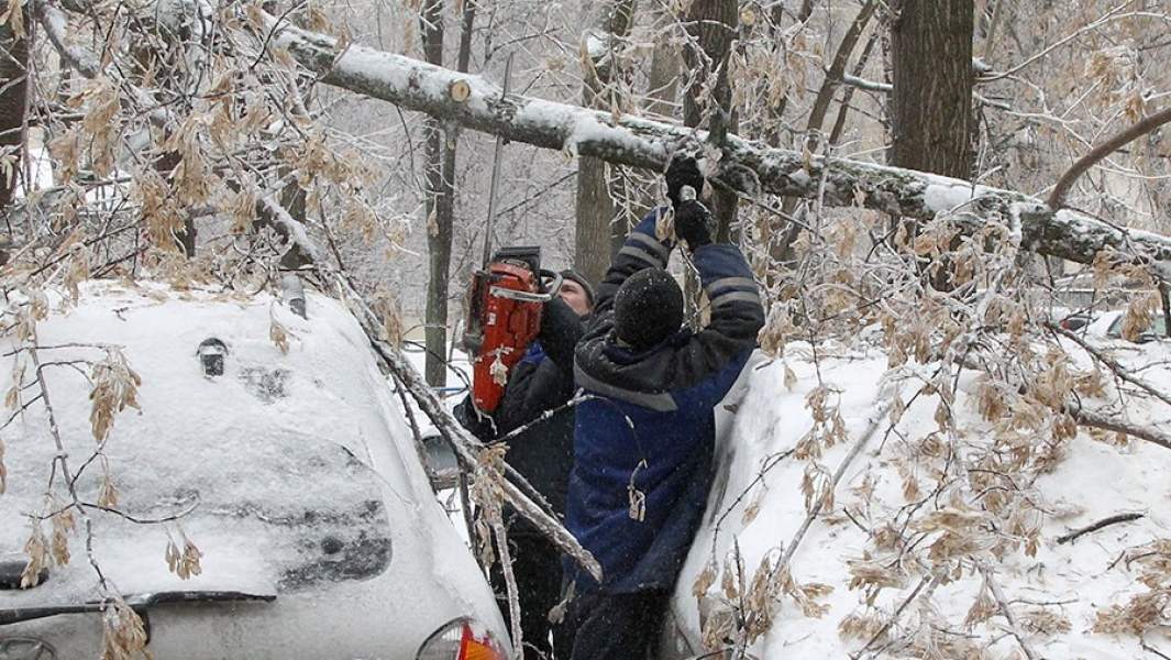 упавшее дерево снег автомобиль