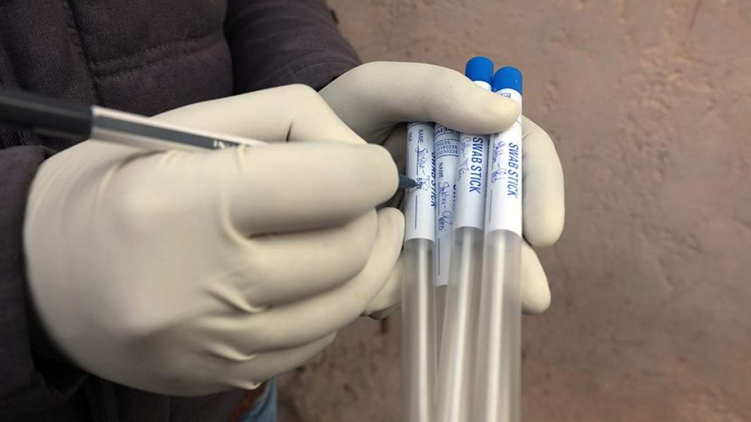 пробирки с биоматериалами, взятыми у птиц